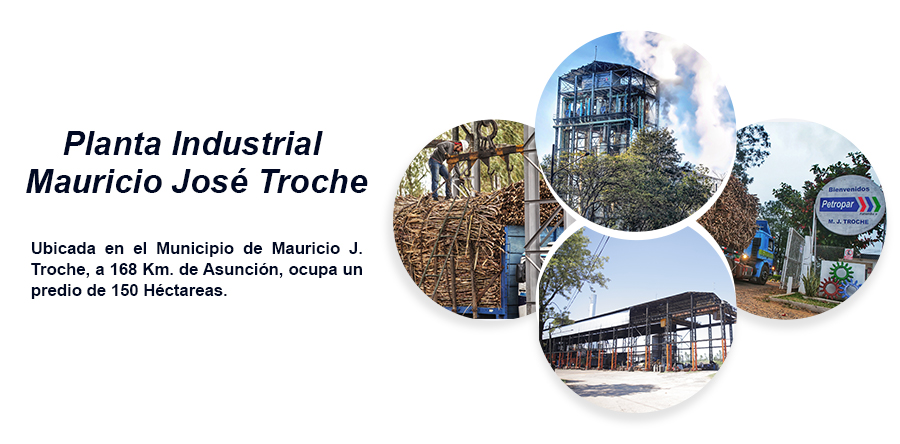 Planta Mauricio José Troche