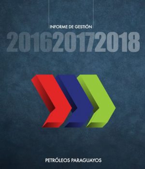 informe 2016 2017 2018