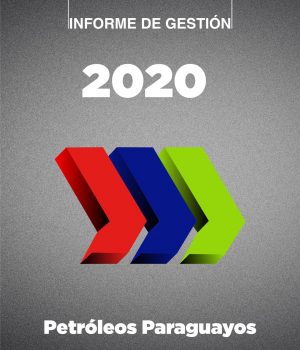 informe 2020